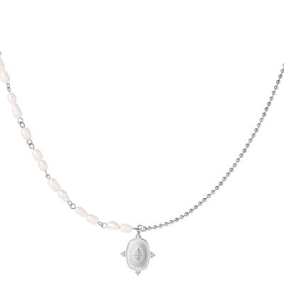 Roestvrij stalen ketting