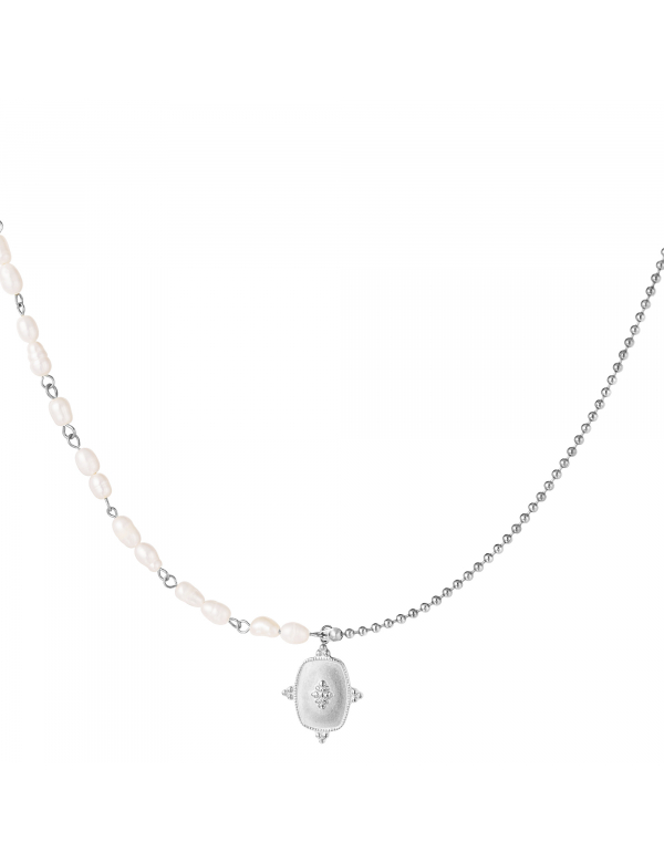 Roestvrij stalen ketting Roestvrij stalen ketting