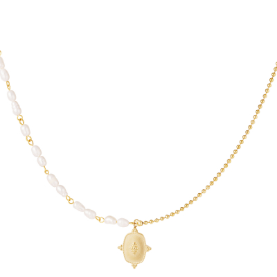 Roestvrij stalen ketting