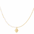 Roestvrij stalen ketting