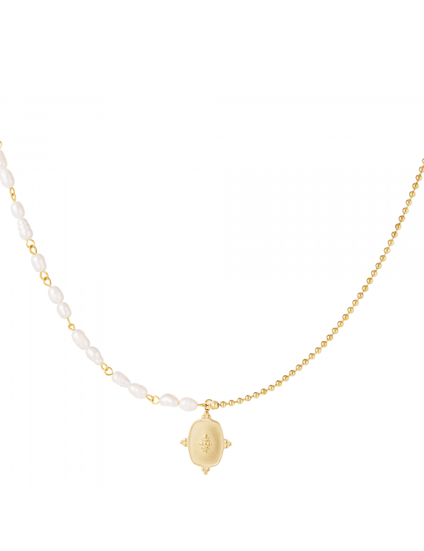 Roestvrij stalen ketting