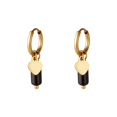 Oorbel hangertjes