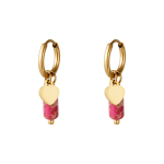 Oorbel hangertjes